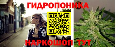 эйфоретик Кандалакша