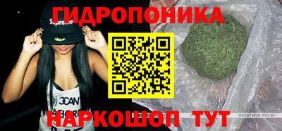 эйфоретик Кандалакша