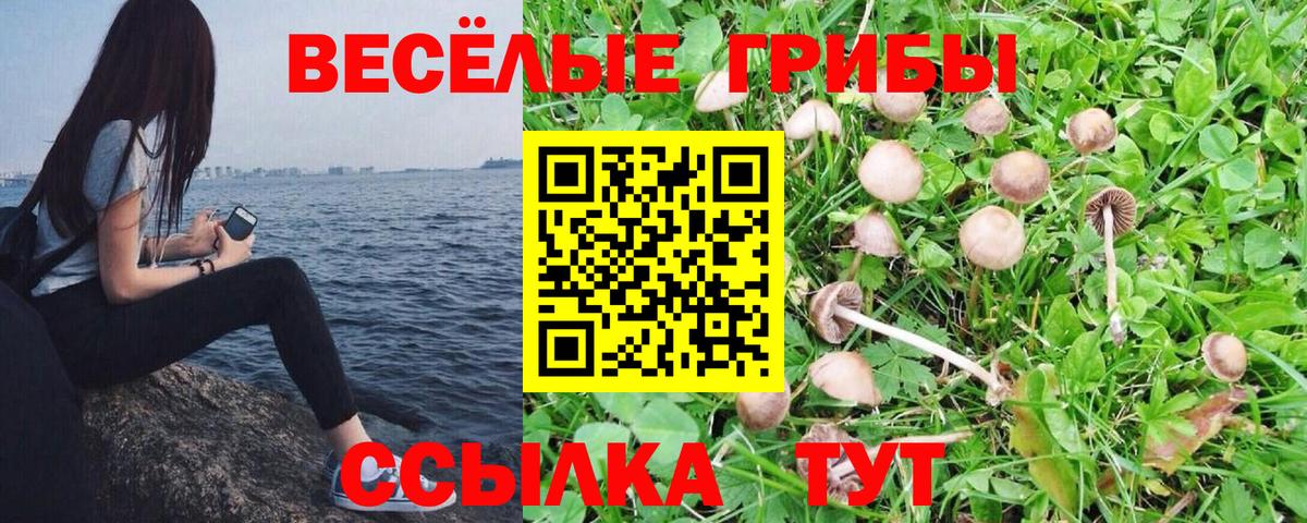 Псилоцибиновые грибы ЛСД Лабинск